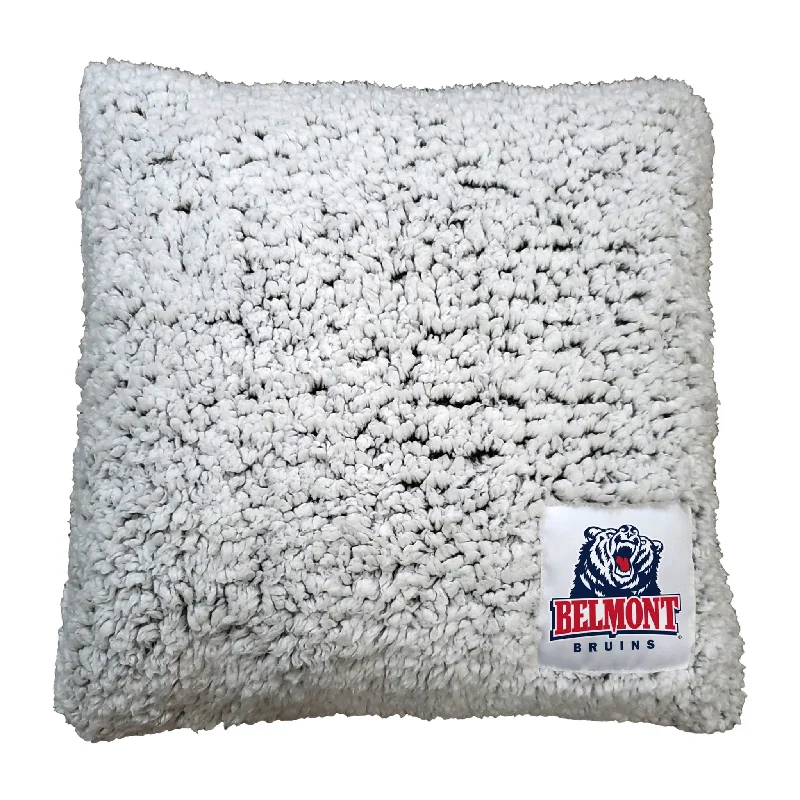 Soft team throws for couch and living room-Belmont University Frosty Pillow